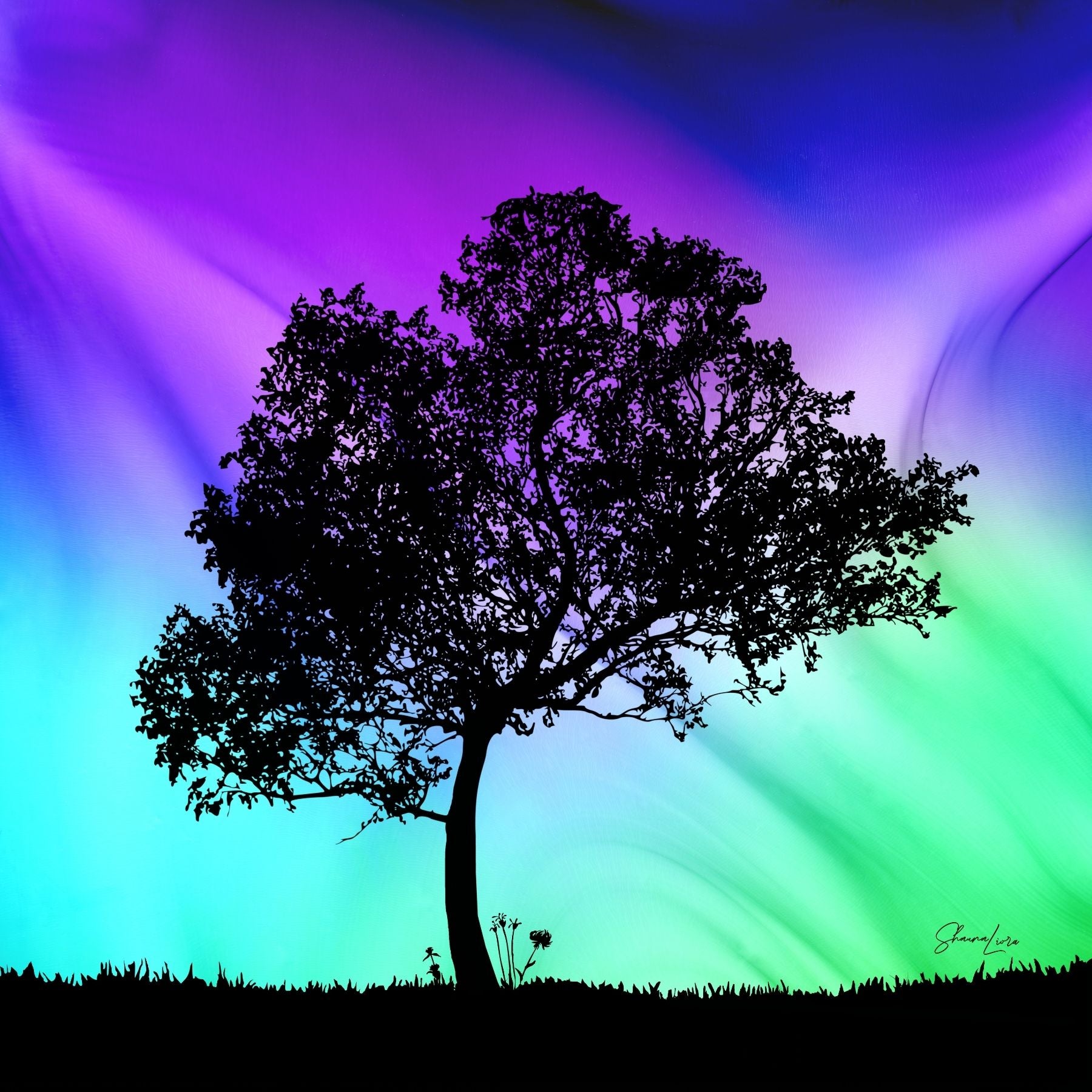 Aurora Night - Wholesale