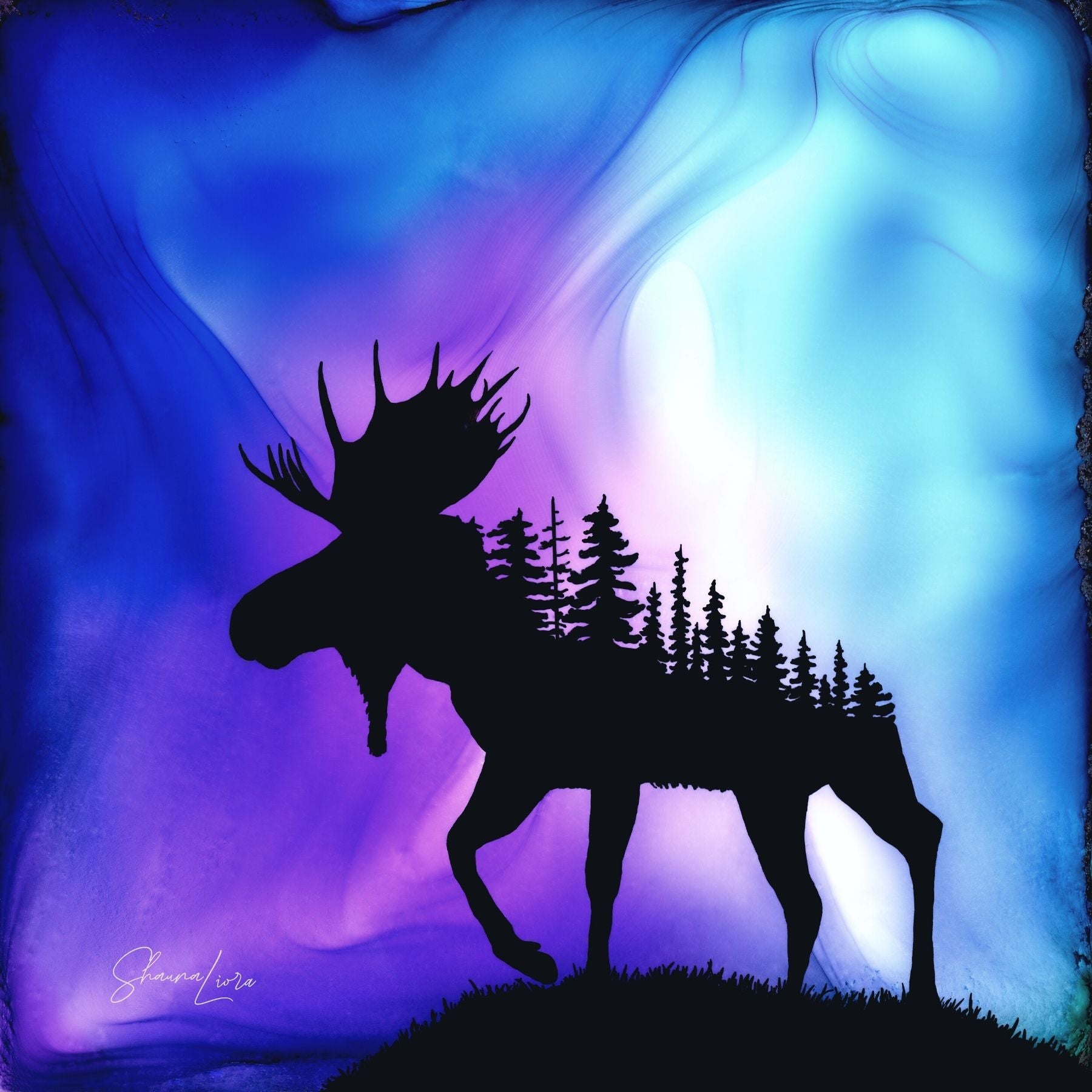 Breath In The Light - Wholesale