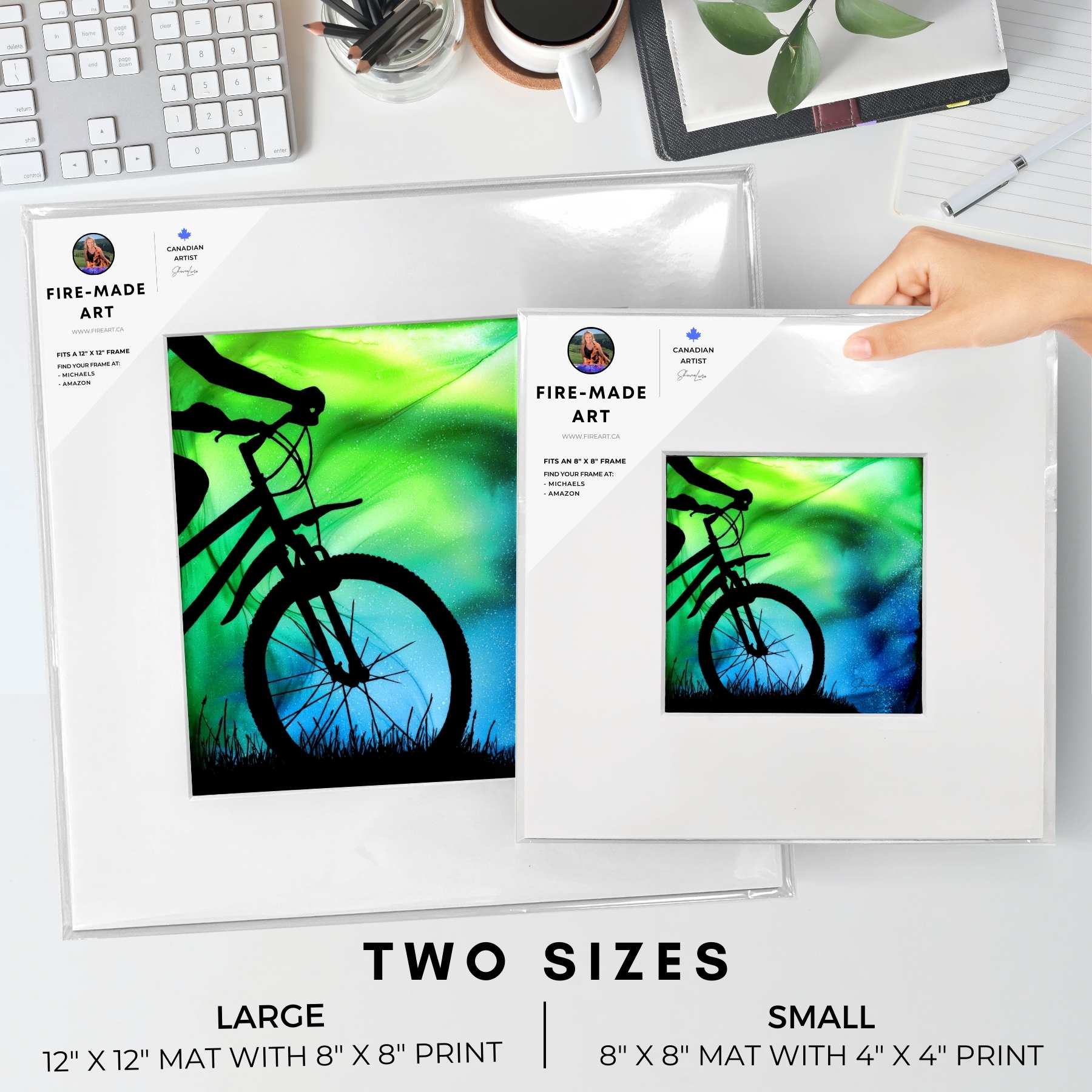 The Adventure Begins - Wholesale