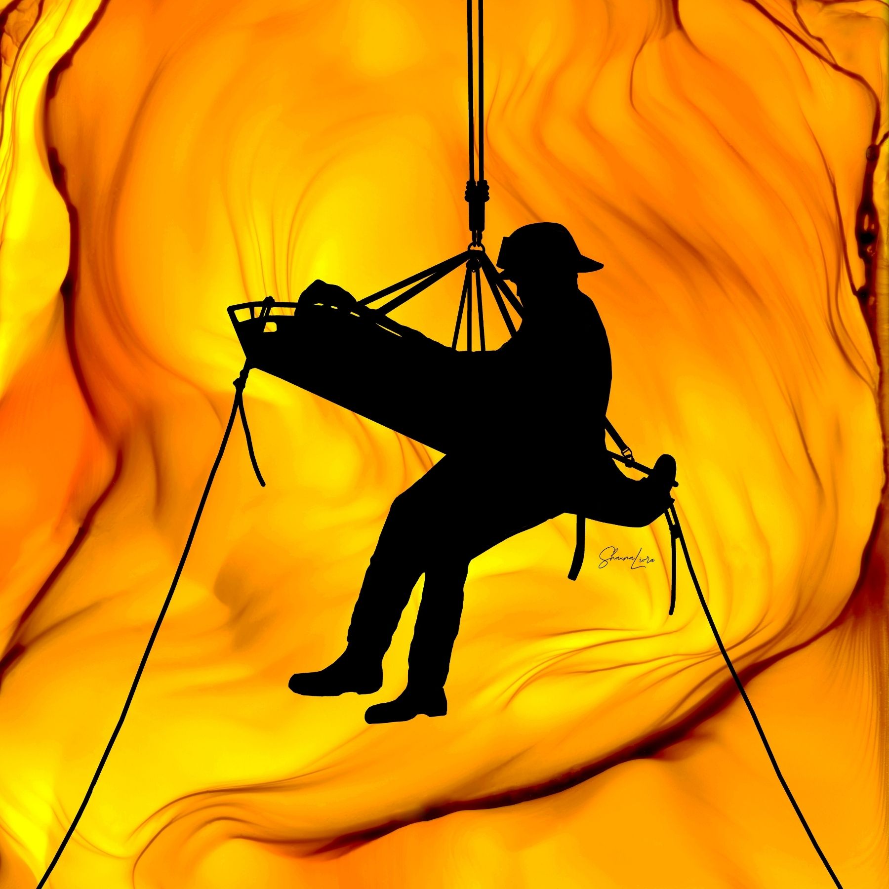 The Rescue - Wholesale