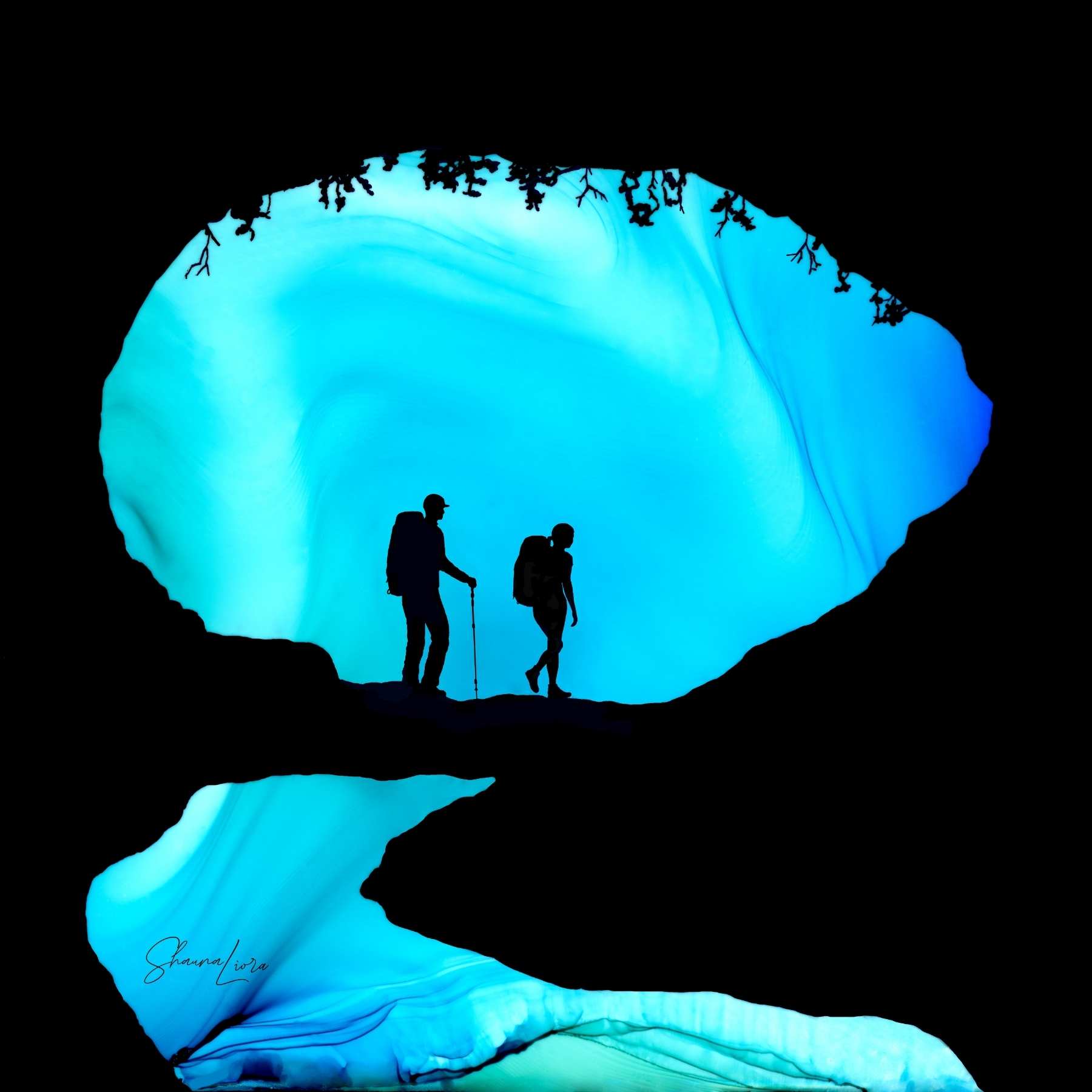 Walk Into The Wild - Wholesale