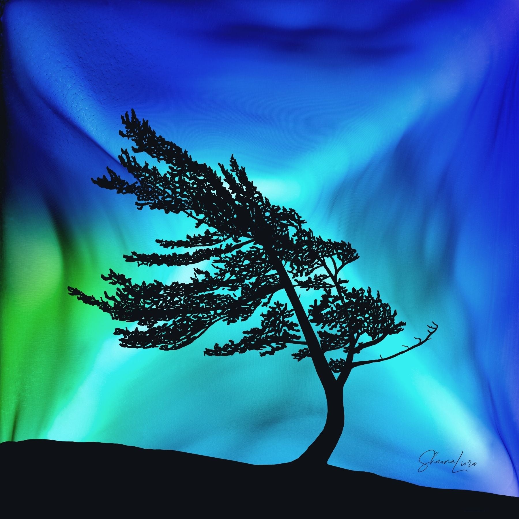 Windswept Glory - Wholesale