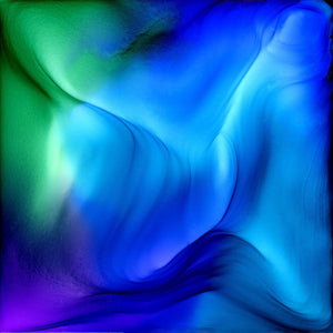 Wild And Free - Fire Made Art By Shauna Liora