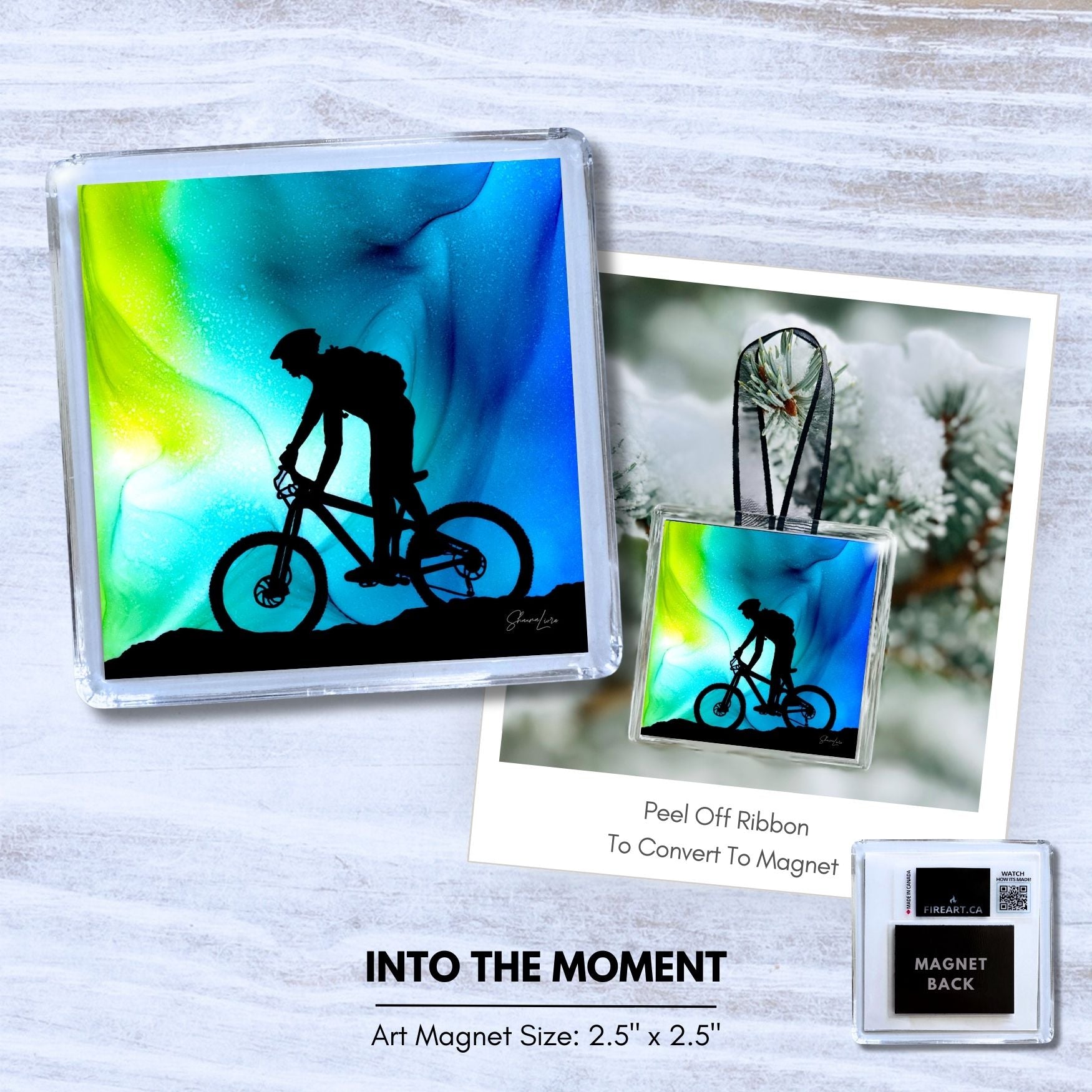Adventure: 2-In-1 Ornament/Magnets