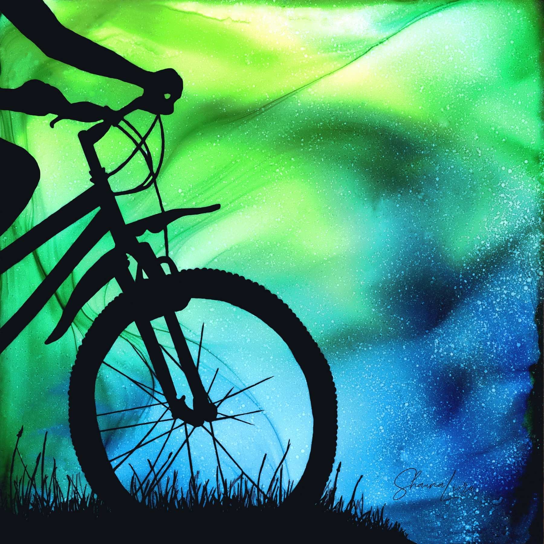 The Adventure Begins - Wholesale