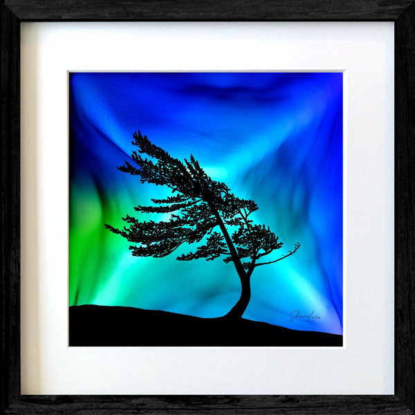 Windswept Glory - Fire Made Art Print