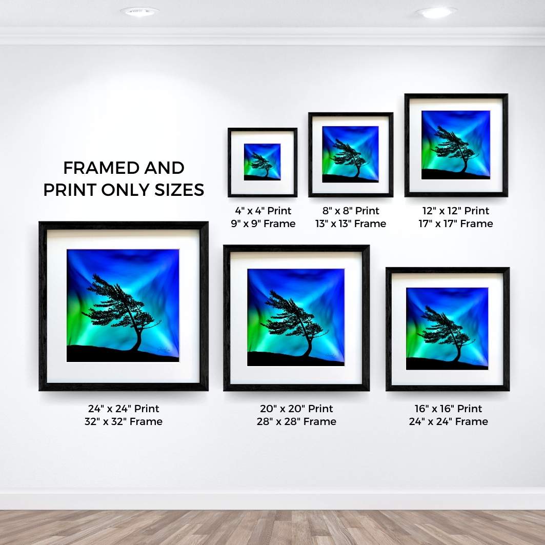 Windswept Glory - Fire Art Print