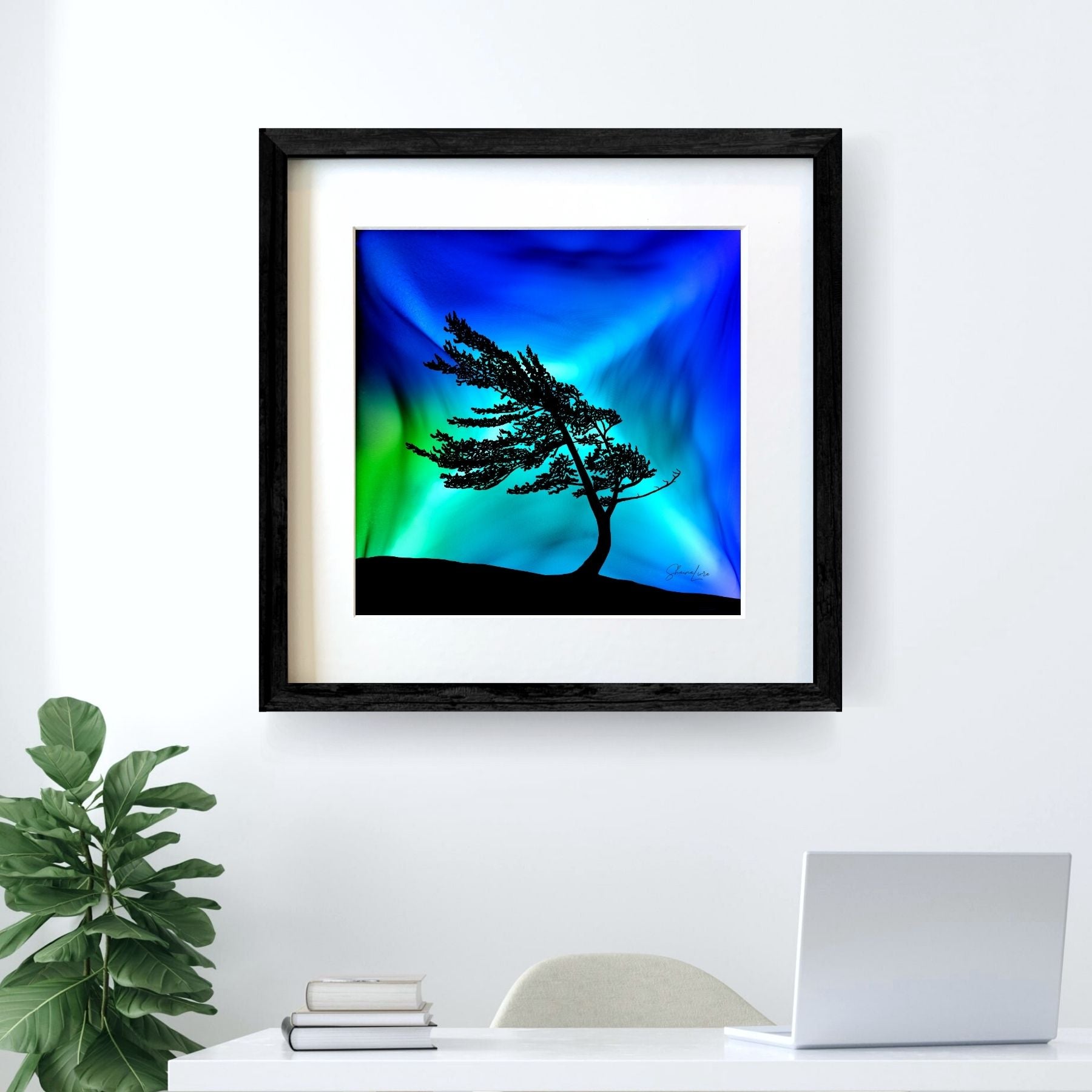 Windswept Glory - Wholesale